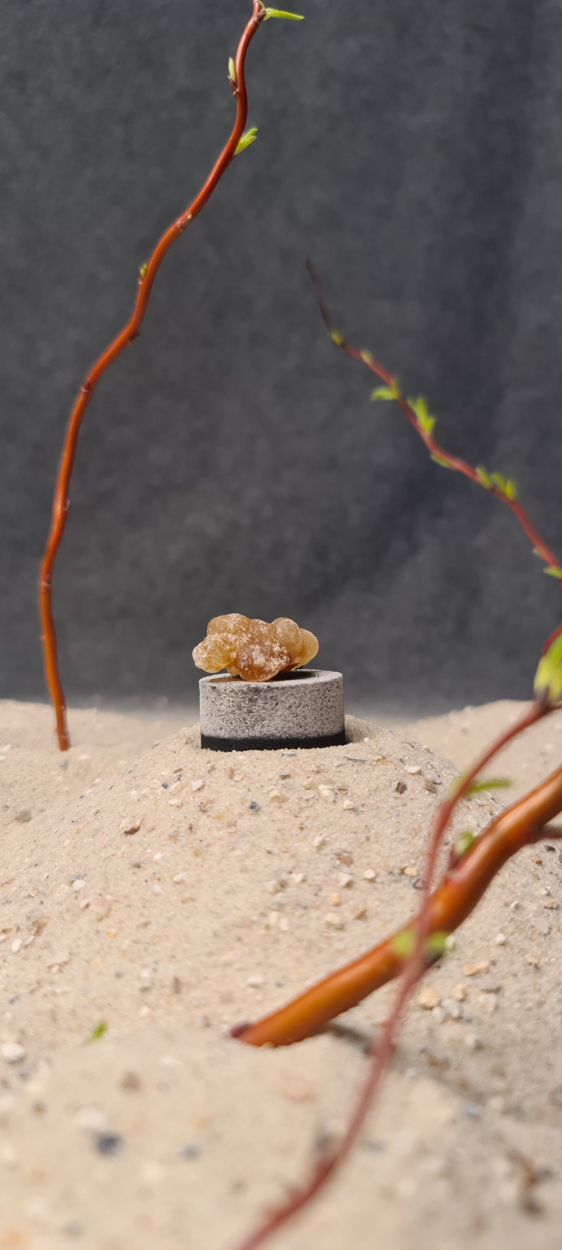 Räucherkohle (mittel)