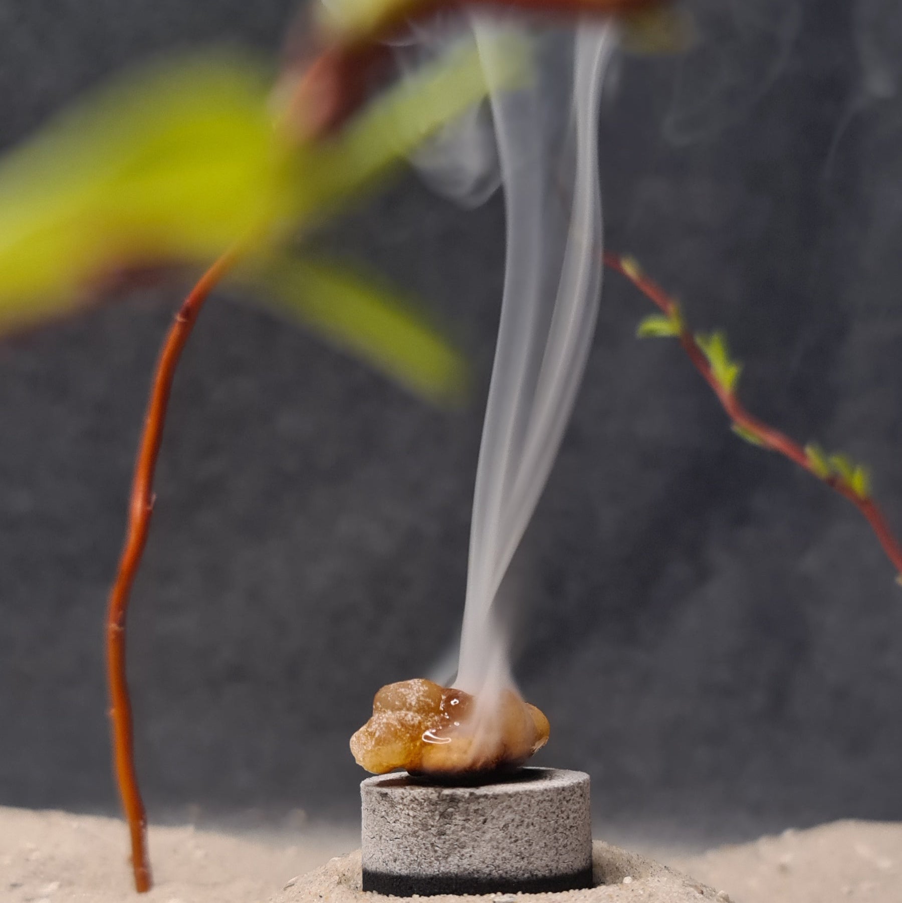 Rauchender Weihrauch auf einer Kohletablette