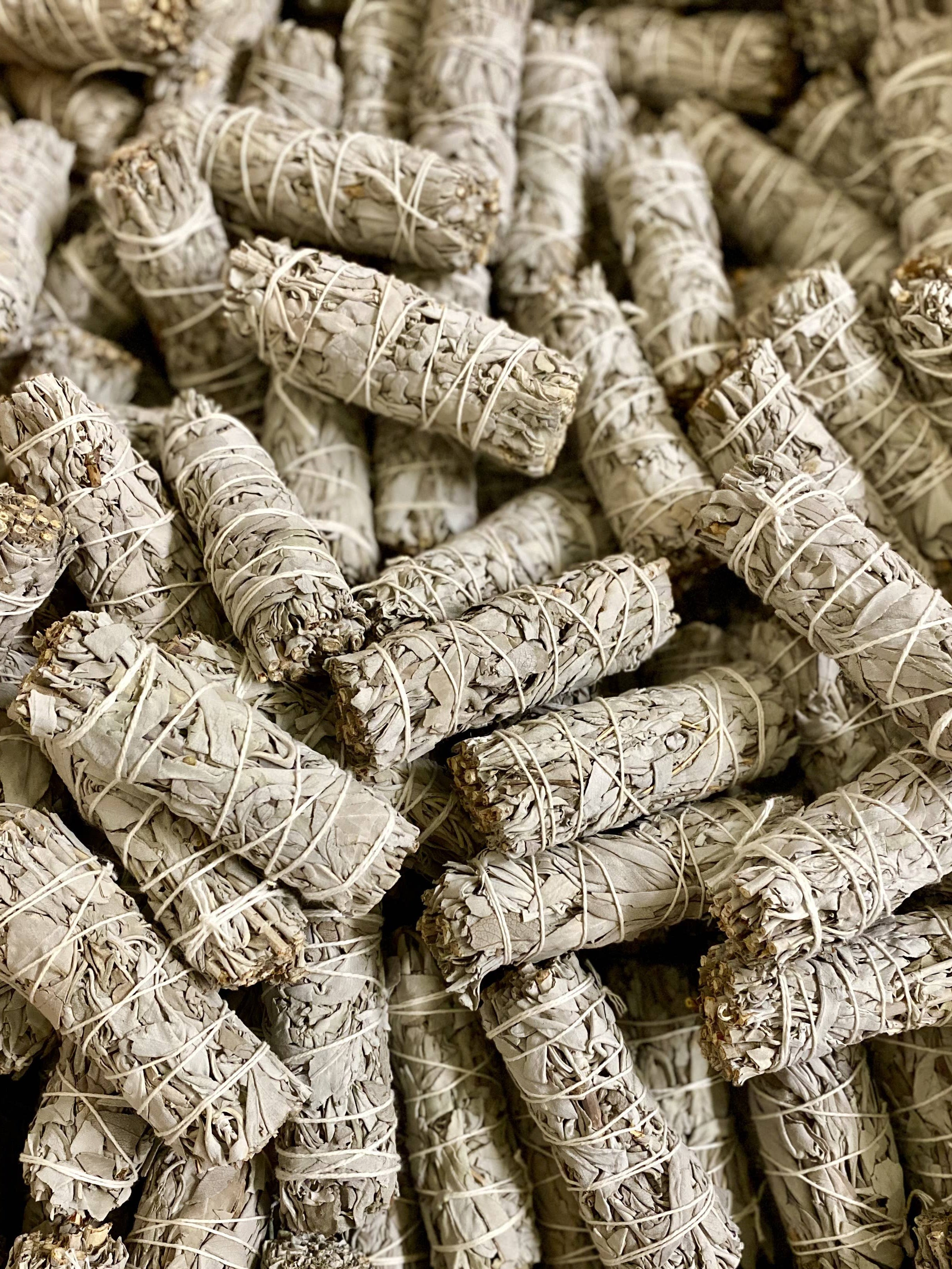 White Sage - Smudge Stick - Räucherbündel Salbei
