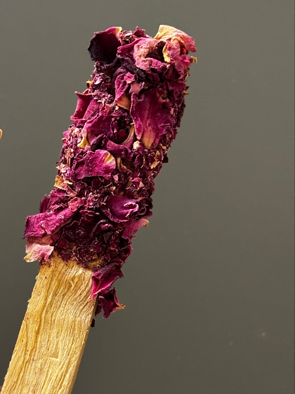 PALO SANTO EDITIONS 02 · ROSE VEIL