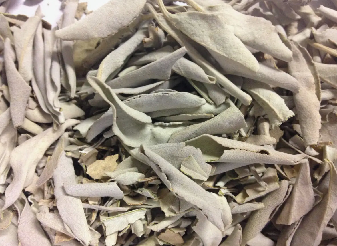 White Sage Leaves - Salbeiblätter